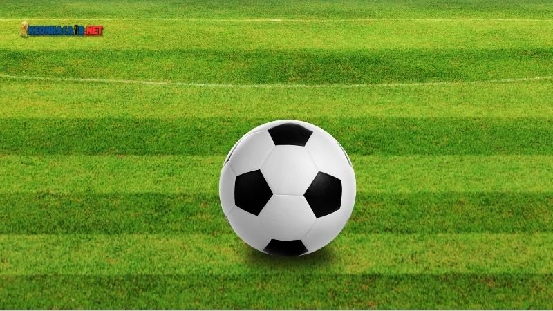 Kèo 1 1/5 là gì? Mẹo cá cược và chiến thuật tối ưu 4 keo-1-1-5-la-gi-3