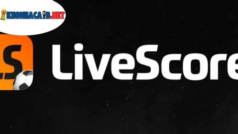 khai-niem-ve-livescore