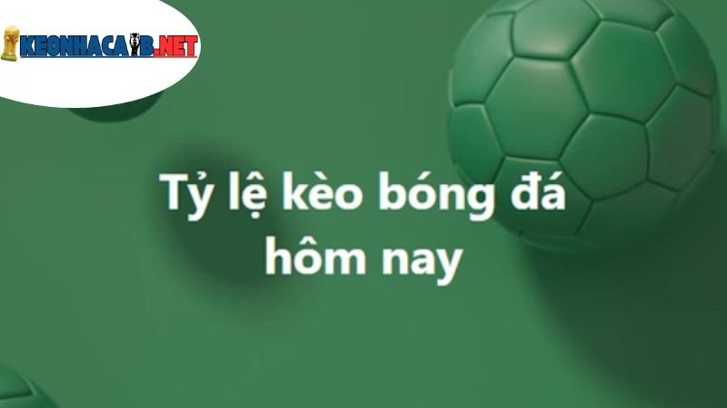 Nhận Định Kèo Nhà Cái - Nghệ Thuật Phân Tích Và Dự Đoán 1 tai-sao-lai-can-den-nhan-dinh-keo-nha-cai?