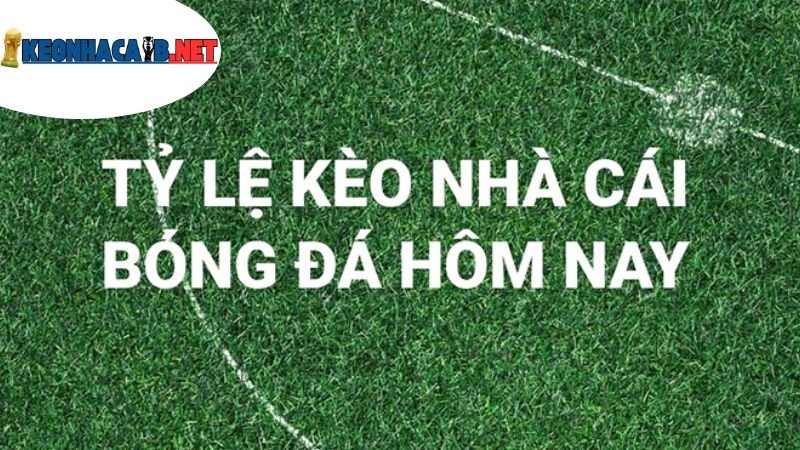 Nhận Định Kèo Nhà Cái - Nghệ Thuật Phân Tích Và Dự Đoán 3 tac-dong-cua-ty-le-keo